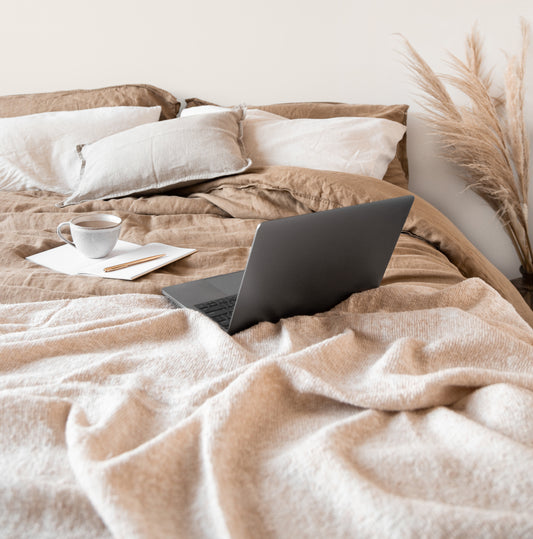 The House Where Slow Lives